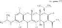 Fig. 241 - 8-AZA tetracycline compounds