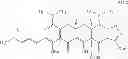 Fig. 337 - 8-AZA tetracycline compounds