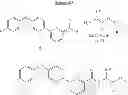 Fig. 67 - Pyridine compounds as sodium channel blockers