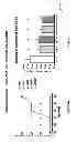 Fig. 02 - COMPOSITION FOR LUPUS NEPHRITIS AND METHODS OF MAKING AND USING THE SAME