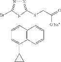 Fig. 17 - POLYMORPHIC, CRYSTALLINE AND MESOPHASE FORMS OF SODIUM 2-(5-BROMO-4-(4-CYCLOPROPYLNAPHTHALEN-1-YL)-4H-1,2,4-TRIAZOL-3-YLTHIO) ACETATE, AND USES THEREOF