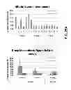 Fig. 32 - Lipid formulated compositions and methods for inhibiting expression of Eg5 and VEGF genes