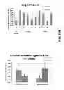 Fig. 33 - Lipid formulated compositions and methods for inhibiting expression of Eg5 and VEGF genes