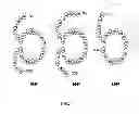 Fig. 02 - NPR-B agonists