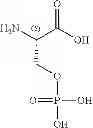 Fig. 216 - NPR-B agonists