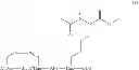 Fig. 124 - METHODS FOR THE SYNTHESIS OF DICARBA BRIDGES IN PEPTIDES