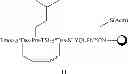 Fig. 35 - METHODS FOR THE SYNTHESIS OF DICARBA BRIDGES IN PEPTIDES