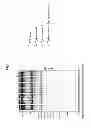 Fig. 06 - Fibrinogen-producing transgenic silkworm