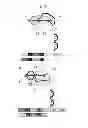 Fig. 06 - Dual Variable Region Antibody-Like Binding Proteins Having Cross-Over Binding Region Orientation
