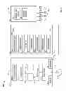 Fig. 02 - Diagnostic system and method for obtaining an ultrasound image frame