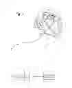 Fig. 02 - SUPPRESSION OF GLOBAL ACTIVITY DURING MULTI-CHANNEL ELECTROPHYSIOLOGY MAPPING USING A WHITENING FILTER