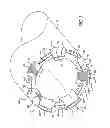 Fig. 05 - Method of creating a shear stress field with medical device