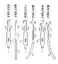 Fig. 12 - Endovascular closure device