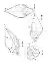 Fig. 07 - MULTI-LUMEN CENTRAL ACCESS VENA CAVA FILTER APPARATUS FOR CLOT MANAGEMENT AND METHOD OF USING SAME
