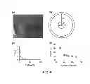 Fig. 09 - TWO DIMENSIONAL AND ONE DIMENSIONAL FIELD ELECTROPORATION
