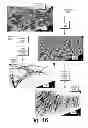 Fig. 17 - Seismic orthogonal decomposition attribute