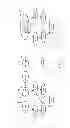 Fig. 12 - OpenCL compilation