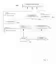 Fig. 19 - Approach for managing access to data on client devices