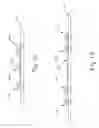Fig. 04 - PHOTOGRAPH HOLDER APPARATUS