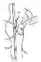 Fig. 01 - DOOR OPENER ASSEMBLY CAPABLE OF HANDS-FREE OPERATION