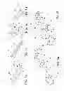 Fig. 02 - Jewelry items capable of changing between contracted and expanded configurations