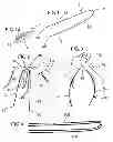 Fig. 02 - Horse hair braiding device and method