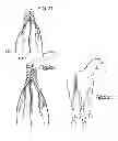 Fig. 07 - Horse hair braiding device and method