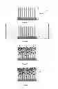 Fig. 02 - MECHANICALLY STABLE DEVICE BASED ON NANO/MICRO WIRES AND HAVING IMPROVED OPTICAL PROPERTIES AND PROCESS FOR PRODUCING IT
