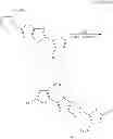 Fig. 33 - Polymer and photoelectric conversion element