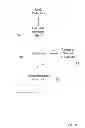 Fig. 11 - Leak detection and control system and method