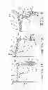 Fig. 09 - Damping element for a motor vehicle hydraulic system