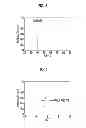 Fig. 06 - RADIOLOGICAL IMAGE DETECTION APPARATUS