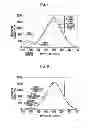 Fig. 07 - RADIOLOGICAL IMAGE DETECTION APPARATUS AND METHOD OF MANUFACTURING THE SAME