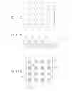 Fig. 12 - ORGANIC ELECTROLUMINESCENCE DEVICE