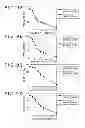 Fig. 06 - Storage element and memory