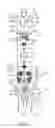 Fig. 02 - Motor assembly
