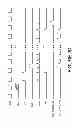 Fig. 04 - On-chip probe circuit for detecting faults in an FPGA