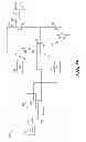 Fig. 23 - System and method for a cascoded amplifier