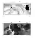 Fig. 01 - Advection of UV texture maps in fluid flows