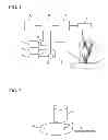 Fig. 02 - Inspection apparatus