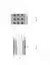 Fig. 02 - HIGH ENERGY DENSITY ELECTROCHEMICAL CAPACITOR