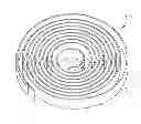 Fig. 01 - MAINSPRING FOR A TIMEPIECE
