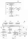 Fig. 03 - S1-MME and LTE-Uu interface correlation in long term evolution networks