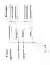 Fig. 10 - Frequency correction in a multi-carrier communication system