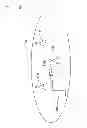 Fig. 02 - Circuit arrangement and a method for roaming between a visited network and a mobile station