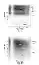 Fig. 09 - Determination of spatial proximity between features of interest in biological tissue