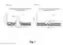 Fig. 09 - Shared propagation region for an optical multiplexer or an optical demultiplexer