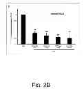 Fig. 06 - Polyethyleneimine And Beta2-Adrenergic Receptor Based Gene Therapy For Acute Lung Injury