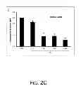 Fig. 07 - Polyethyleneimine And Beta2-Adrenergic Receptor Based Gene Therapy For Acute Lung Injury