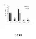 Fig. 09 - Polyethyleneimine And Beta2-Adrenergic Receptor Based Gene Therapy For Acute Lung Injury